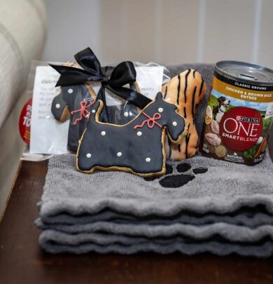 Stack of towels with a paw print, dog-shaped cookies, and a can of Purina ONE dog food on a wooden surface.