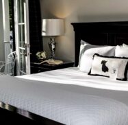 A neatly made bed with white linens and a decorative pillow, set in a well-lit room with a lamp, book, and window views of greenery.