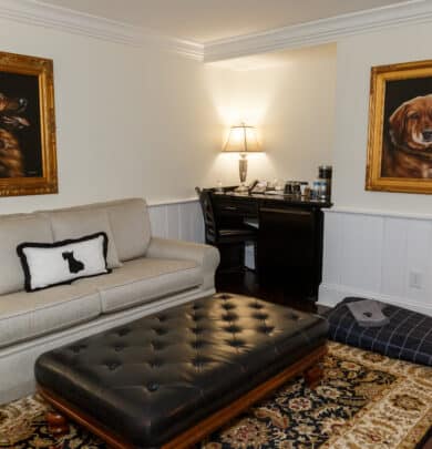 Living room with a beige sofa, a large ottoman, and two dog portraits on the wall. A small desk with a lamp and chair is in the corner. A pet bed is on the floor.