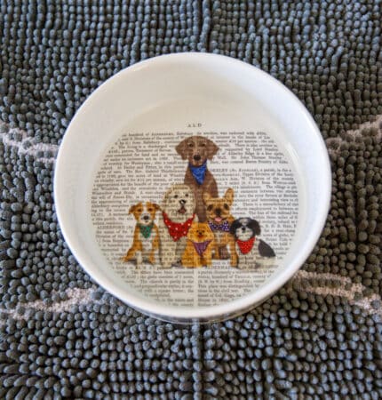 A white bowl adorned with text and illustrations of five dogs rests on a textured gray rug shaped like a bone, reminiscent of the charming ambiance found in Highlands, NC's pet-friendly hotels.