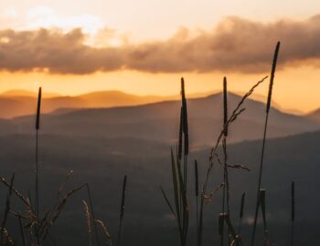 A scenic view of hills at sunset with tall grasses in the foreground and a sky filled with clouds.