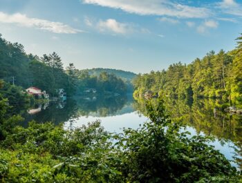 A tranquil lake surrounded by lush green trees and houses, reflecting the clear blue sky and clouds.